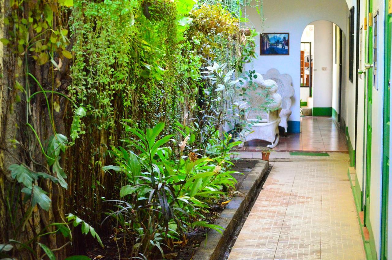 Hostal El Rio Leon Bagian luar foto